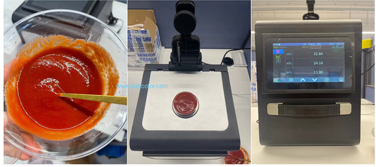 TS8210 portable benchtop colorimeter in measuring the color of tomato sauce